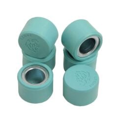 Vespa GTS 250  Leone Performans Bagası - 15 gram