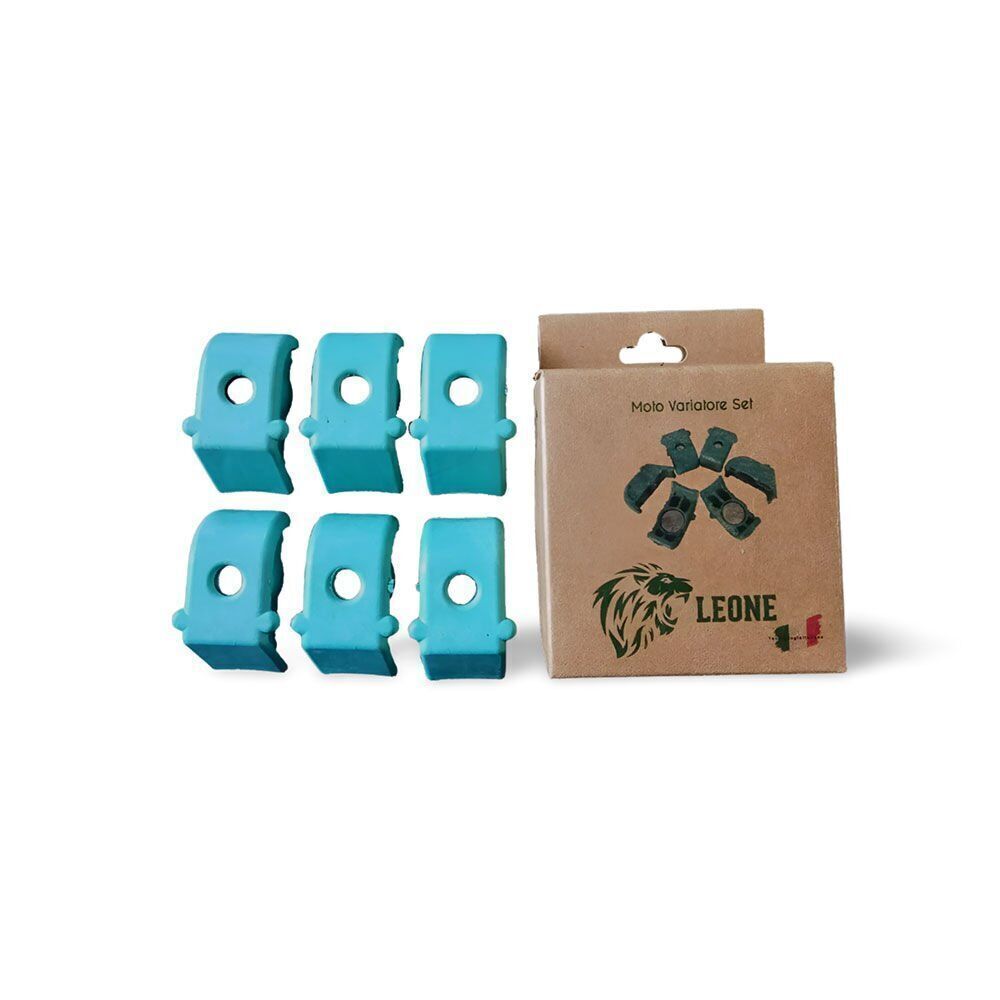 Cf Moto 800CC Atv Performans Bagası Leone